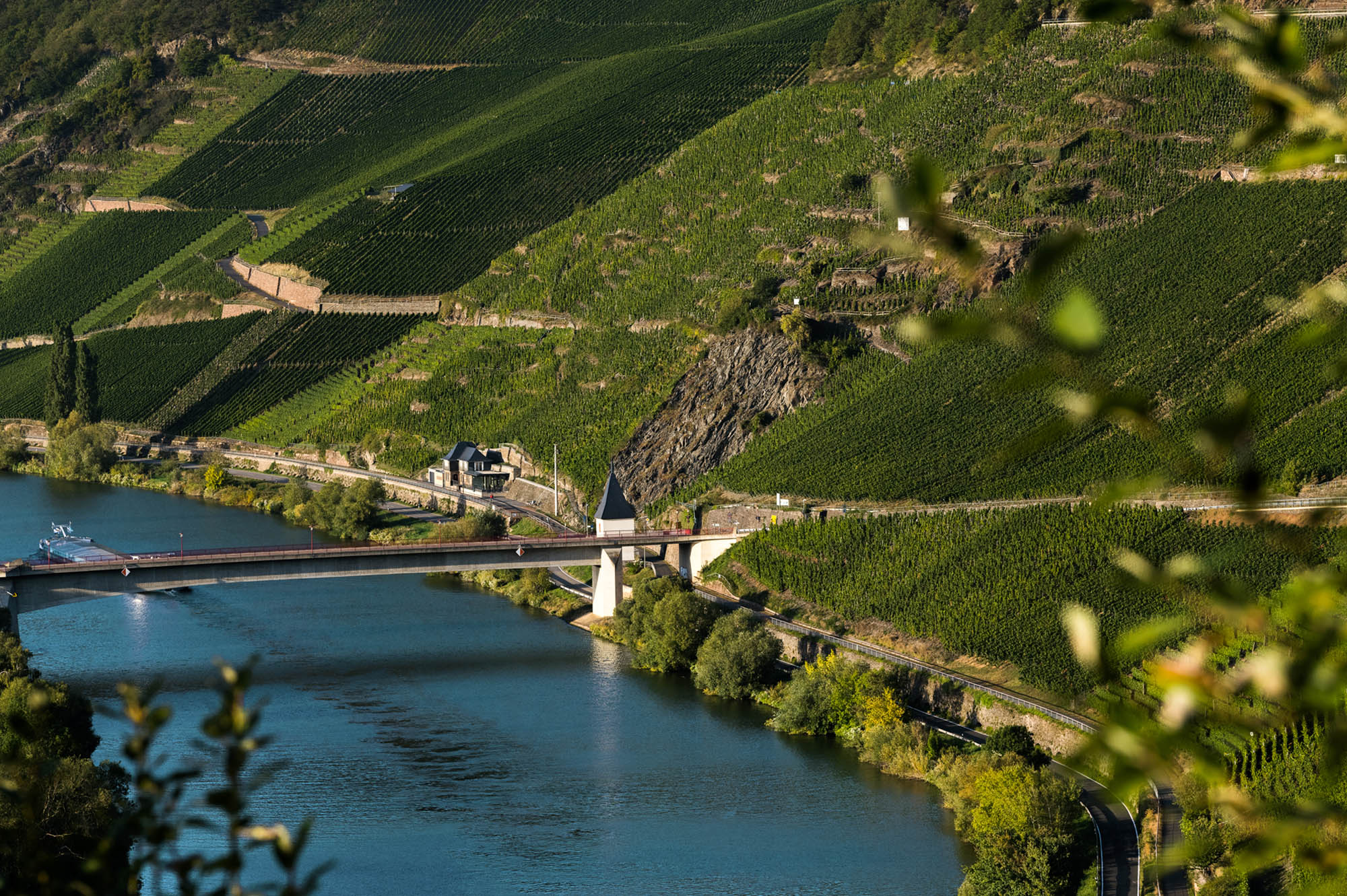 Weingut Loersch in Leiwen an der Mosel